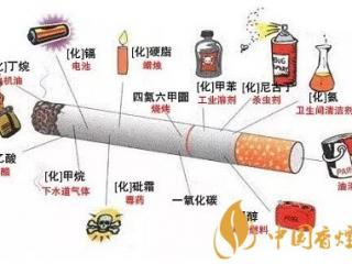 香烟里面有什么成分，仅是有毒物质就到上千种