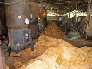 真假烟丝有什么不同 假烟烟丝制作过程揭秘