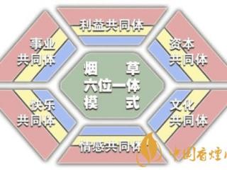 烟草高质量发展需要注意什么 烟草质量发展的秘笈介绍