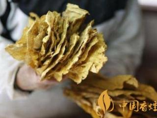 烟丝如何保存才不会改变口感 烟丝保存的五种方法介绍