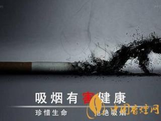 堪称史上最全的烟草知识 你值得拥有！