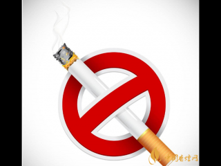 2020十大戒烟产品排行榜