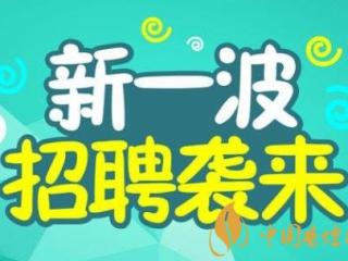 2020全国各地烟草招聘开始 并且进行大量扩招！