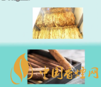 如何区分雪茄和香烟  五个角度分析雪茄和香烟的不同之处