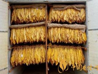 烟叶烘烤时如何做好排湿 烟叶烘烤的技巧介绍