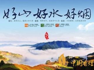 为什么云南的烟草品质好 云南烟草品质出名的原因介绍