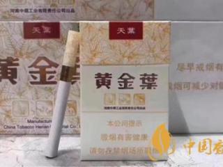 黄金叶天叶真假识别 黄金叶天叶真假鉴定