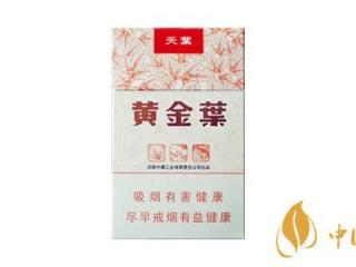 黄金叶天叶香烟好抽吗 黄金叶天叶口感测评
