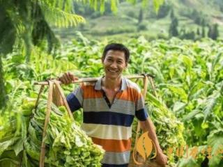 2019烟草年度总结概览 这六点行业要闻你需要知道！