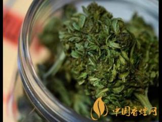 泰国烟草局将扶持烟农改种大麻