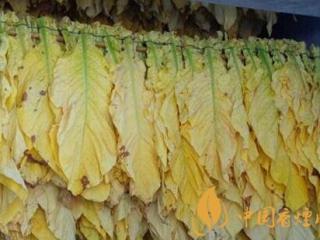 烟叶烘烤如何减少损失 主要从两方面做起