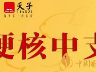 天子中支系列香烟价格档位完善 满足了更多烟民的需求！