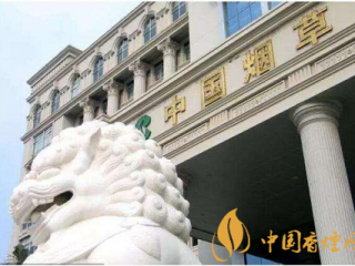 国家发话了：烟草系统腐败，制度不够透明，必须整治！