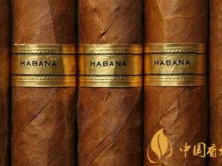 抽雪茄时要撕掉烟标吗 主要看心情