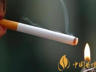 七匹狼厦门烟怎么样 七匹狼厦门香烟评测一览