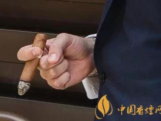 怎样正确的抽雪茄 拿雪茄的五个正确姿势介绍！