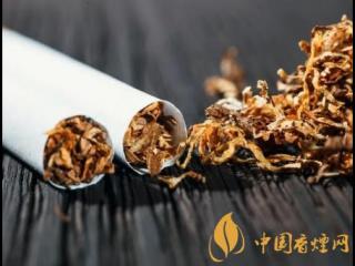 烟草可以研发新冠疫苗吗 用烟草研发疫苗的真实情况介绍