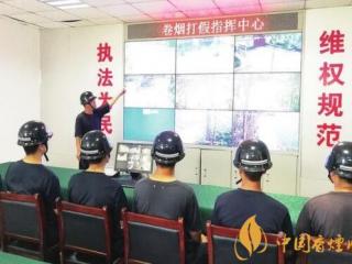 对卷烟打假破网工作的几点思考