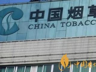 烟草局工作有事业编制吗 烟草局与烟草公司的区别介绍