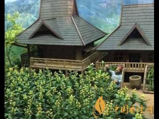 中国香料烟有哪些 香料烟的起源和种植地介绍