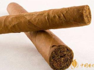 多角度分析雪茄与香烟的区别