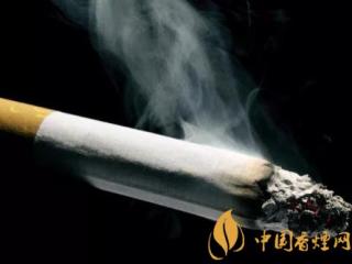 香烟的起源在哪里 香烟的由来与用途分析