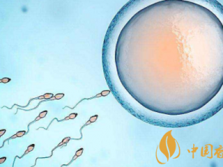 注意：在迪拜这些场所不能抽水烟！