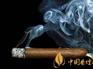 为什么雪茄不吸入肺？雪茄相关知识介绍