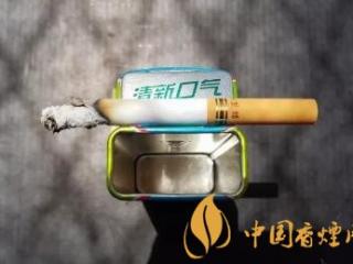 威斯小熊猫价格及参数 威斯小熊猫独家口感分析