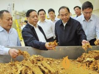 烟草职能转型质量发展首先要从自我归位做起！