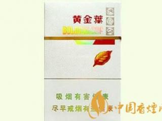 黄金叶金丝路怎么样 黄金叶金丝路好抽吗