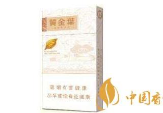 雪茄太硬怎么办 雪茄强度和硬度的区别介绍