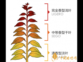 黄山硬锦绣怎么样？黄山硬锦绣香烟口感品析2020