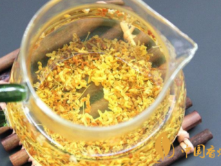 经常抽烟的人喝什么茶好 抽烟的人喝什么茶清肺效果最好