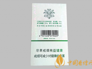 钻石荷花绿水青山多少钱一包 钻石荷花绿水青山价格及口感评测