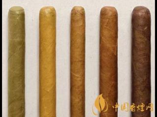 雪茄和香烟哪个危害大 雪茄的品鉴技巧介绍